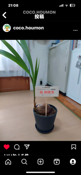 匿名 review photo