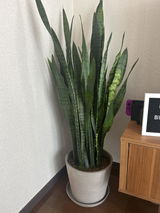 望美 菊池 review photo