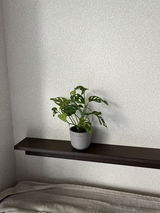 hapiko review photo