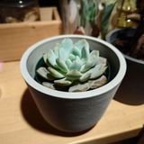 ちかちか review photo