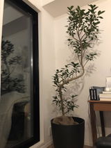 匿名 review photo