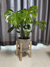 ゆう review photo