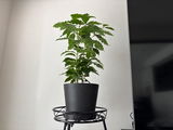 愛美 review photo