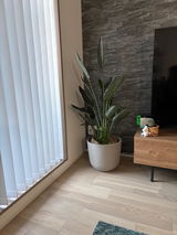 匿名 review photo