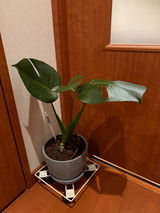まさまま review photo