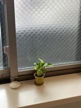 めい review photo