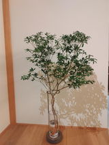 匿名 review photo