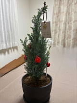 匿名 review photo