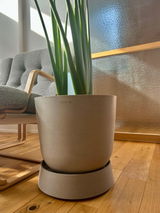 gura review photo