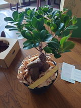 光 review photo