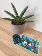 もちみや review photo