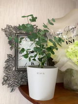 匿名 review photo