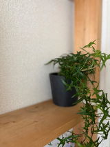 匿名 review photo