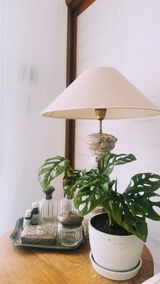 nini review photo