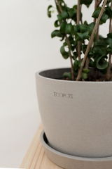 ui review photo