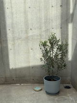 らいとくん review photo