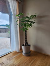 匿名 review photo