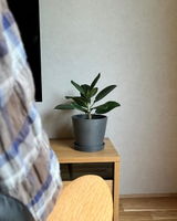 かとこ review photo