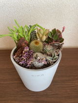 匿名 review photo