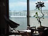 ZEN review photo