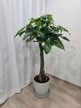 バニラママ review photo