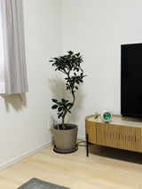 匿名 review photo