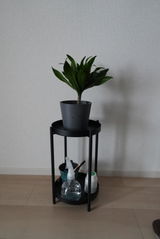 植優 review photo