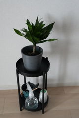 植優 review photo