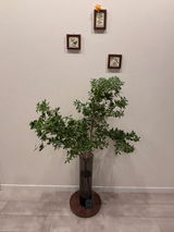 匿名 review photo