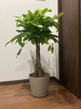 匿名 review photo