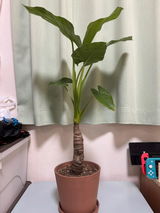 匿名 review photo