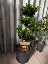 けんぞー review photo