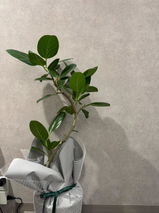 匿名 review photo