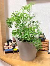 匿名 review photo