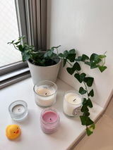 せせり review photo