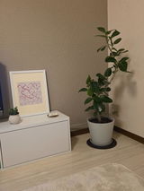 匿名 review photo