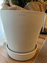 匿名 review photo