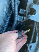mdog review photo