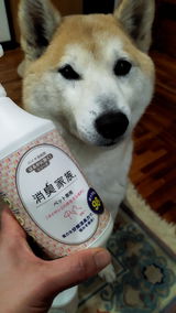 愛子 矢部 review photo