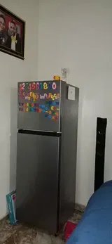 Vivien Webb review photo