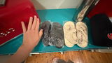 Disappointed customer review photo