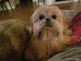 Bettye F. review photo