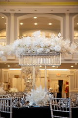 Elan Shari Events review photo