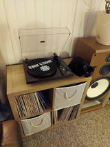 Alayna Quitzon review photo