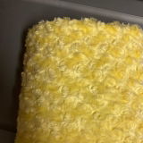 Leah’s H review photo