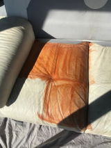 Abby S. review photo