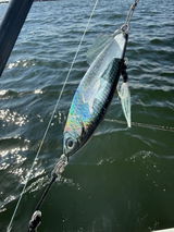 Scott Dimig review photo