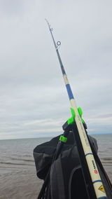 Gibbo review photo