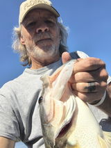 Richard BoxI make and use the baitsi in my tournaments review photo