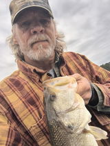 Richard BoxI make and use the baitsi in my tournaments review photo